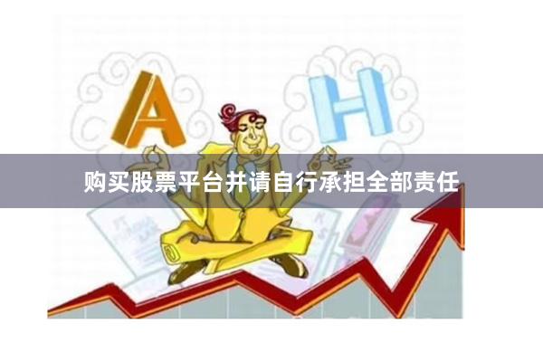购买股票平台并请自行承担全部责任