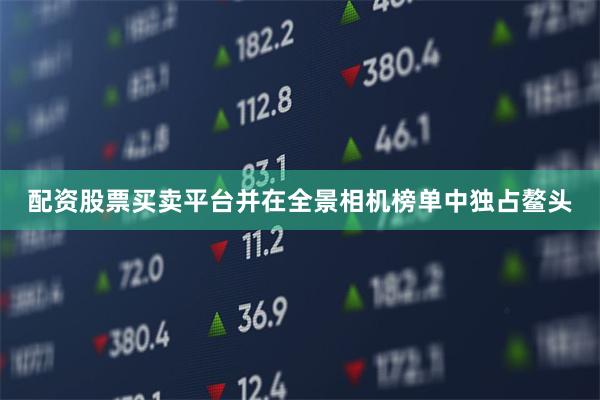 配资股票买卖平台并在全景相机榜单中独占鳌头